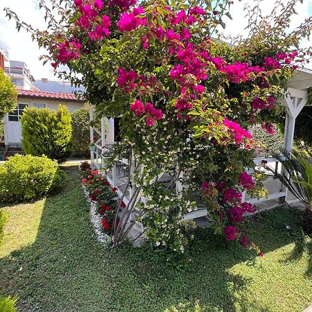 Nili Hotel Vlorë Eksteriør bilde