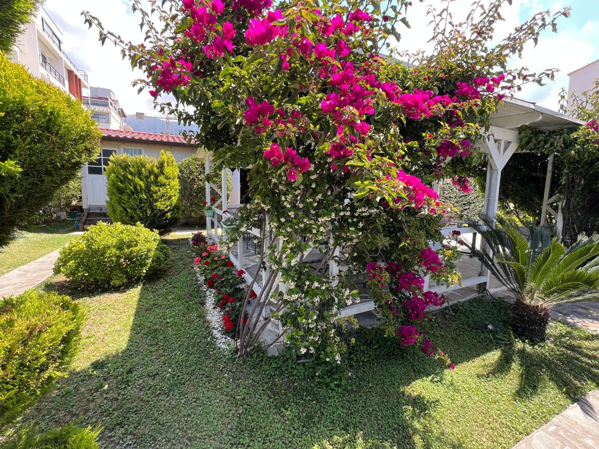 Nili Hotel Vlorë Eksteriør bilde